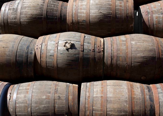 Scotch whisky casks