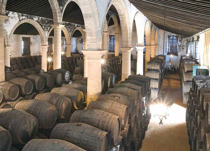 Sherry casks in storage at a bodega