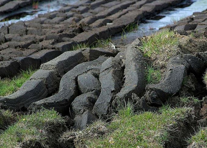 Peat cuttings in a field