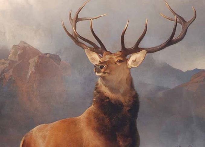 The Monarch of the Glen