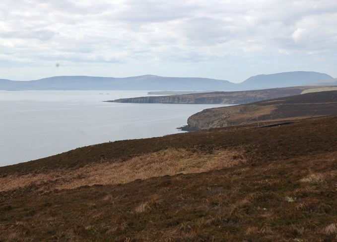 Islay peat