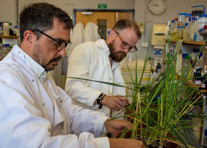 Dr Peter Morris and Dr Ross Alexander working in lab