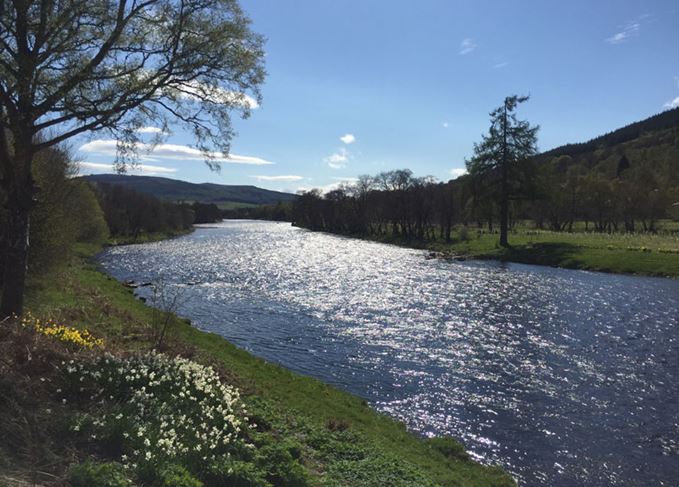 River Spey in the spring sunshine