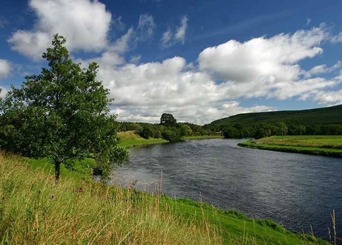 Banks of the River Spey