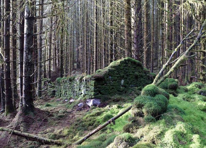 Wee Bruach Caoruinn ruins