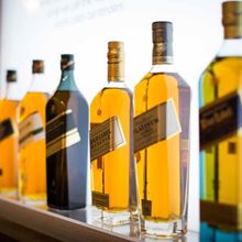 Scotch whisky shows surprising strength in global gloom